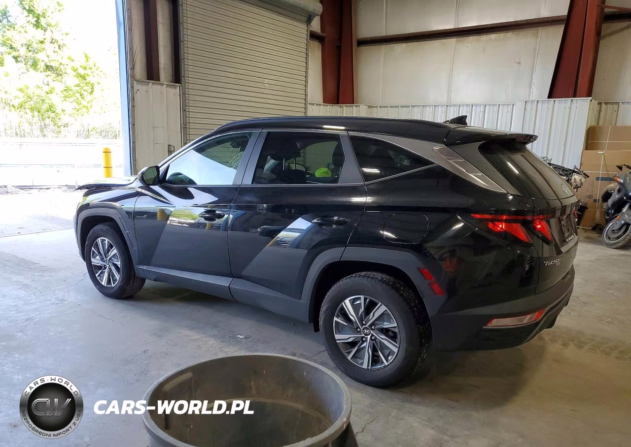2024 Hyundai Tucson Blue VIN:KM8JBCD12RU172339 - 2