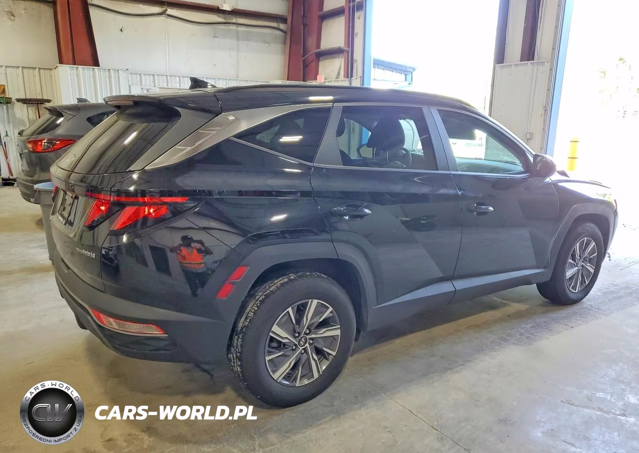 2024 Hyundai Tucson Blue VIN:KM8JBCD12RU172339 - 3