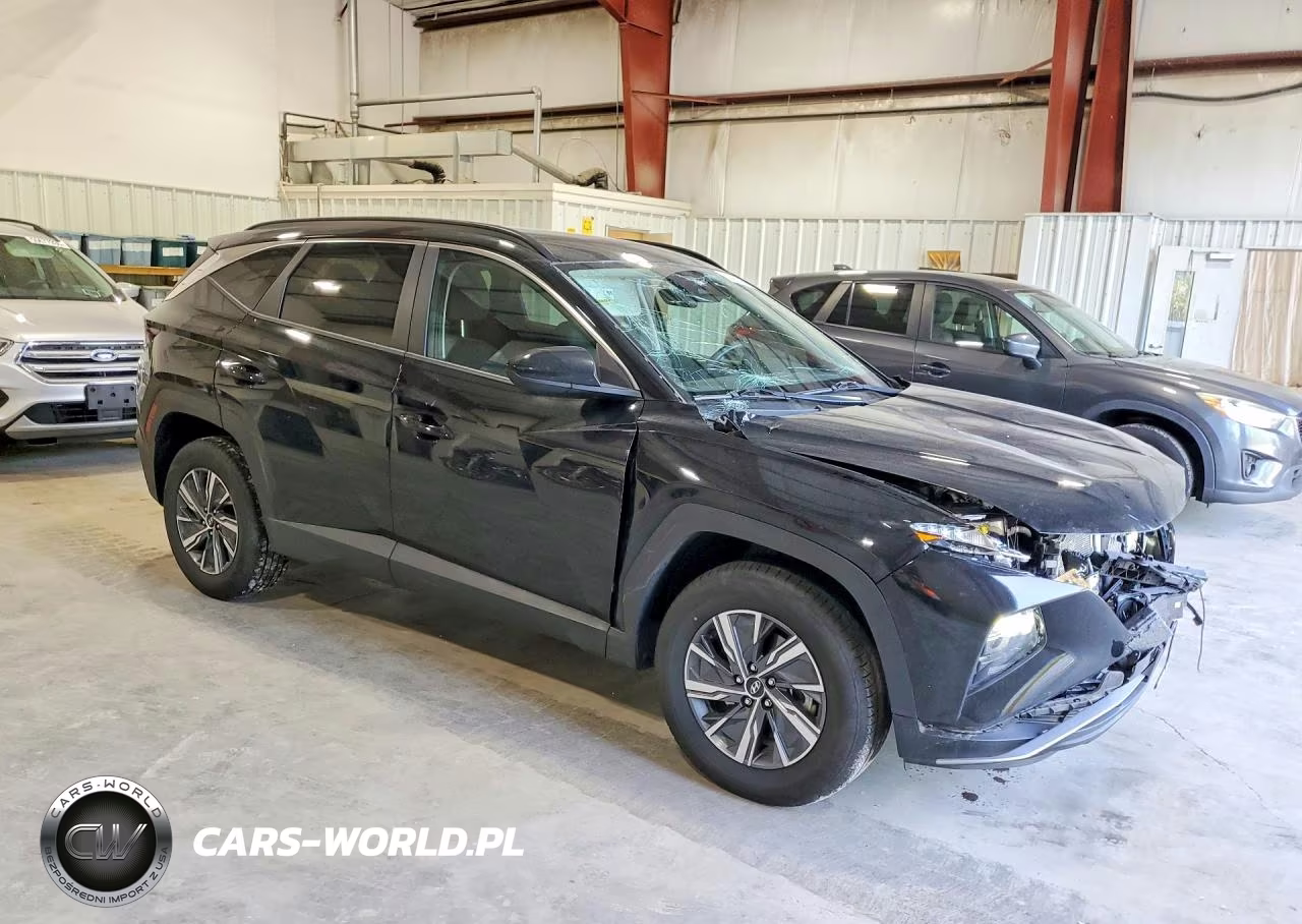 2024 Hyundai Tucson Blue VIN:KM8JBCD12RU172339 - 4