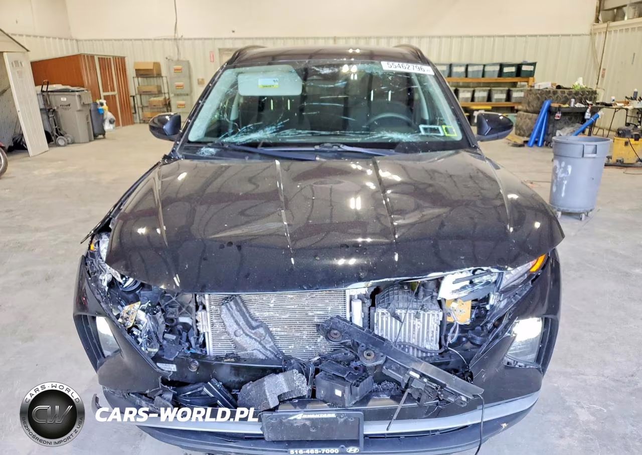 2024 Hyundai Tucson Blue VIN:KM8JBCD12RU172339 - 5