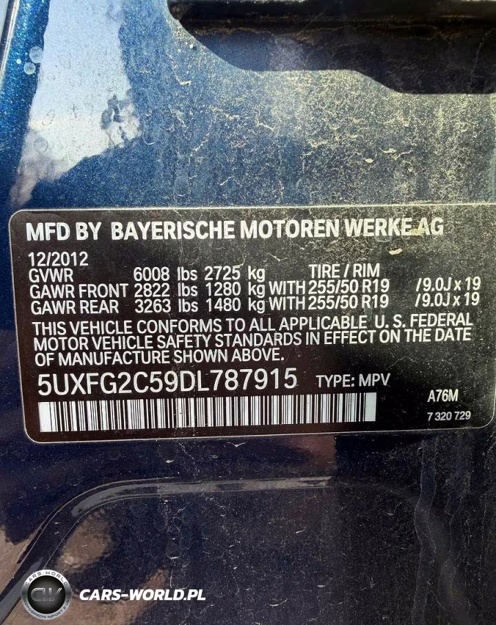 2013 BMW X6 xDrive35I VIN:5UXFG2C59DL787915 - 10