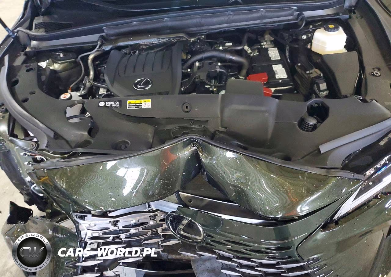 2025 Lexus Rx 350 Premium VIN:2T2BAMBA3SC064587 - 11