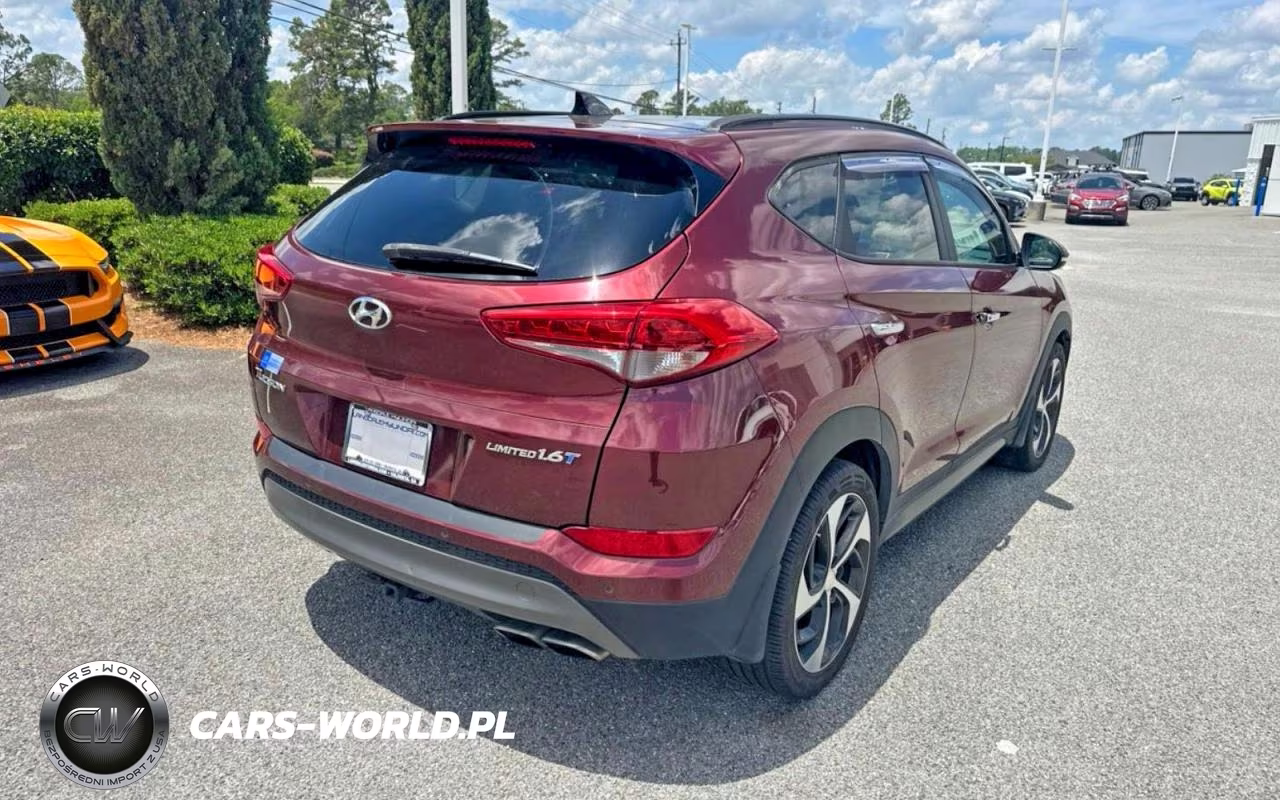 2016 Hyundai Tucson Limited VIN:KM8J33A21GU080064 - 4