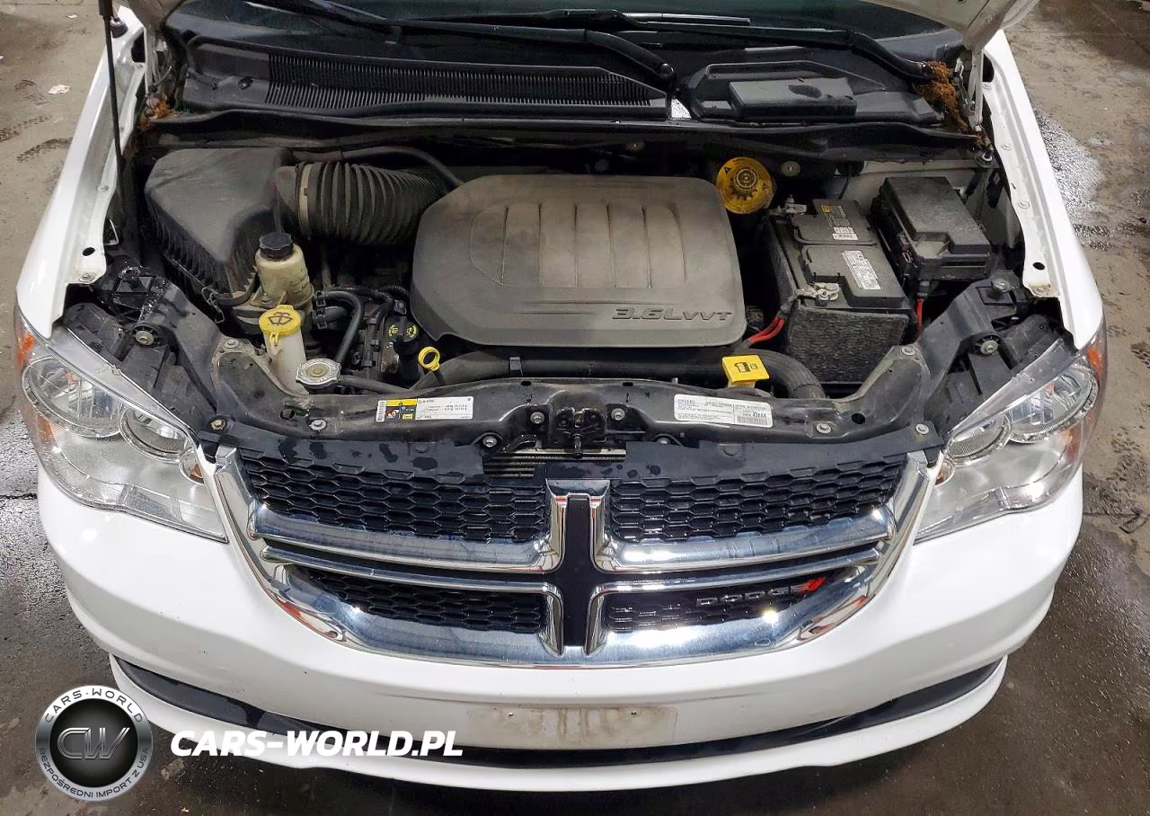 2019 Dodge Grand Caravan Sxt VIN:2C4RDGCG3KR787998 - 12