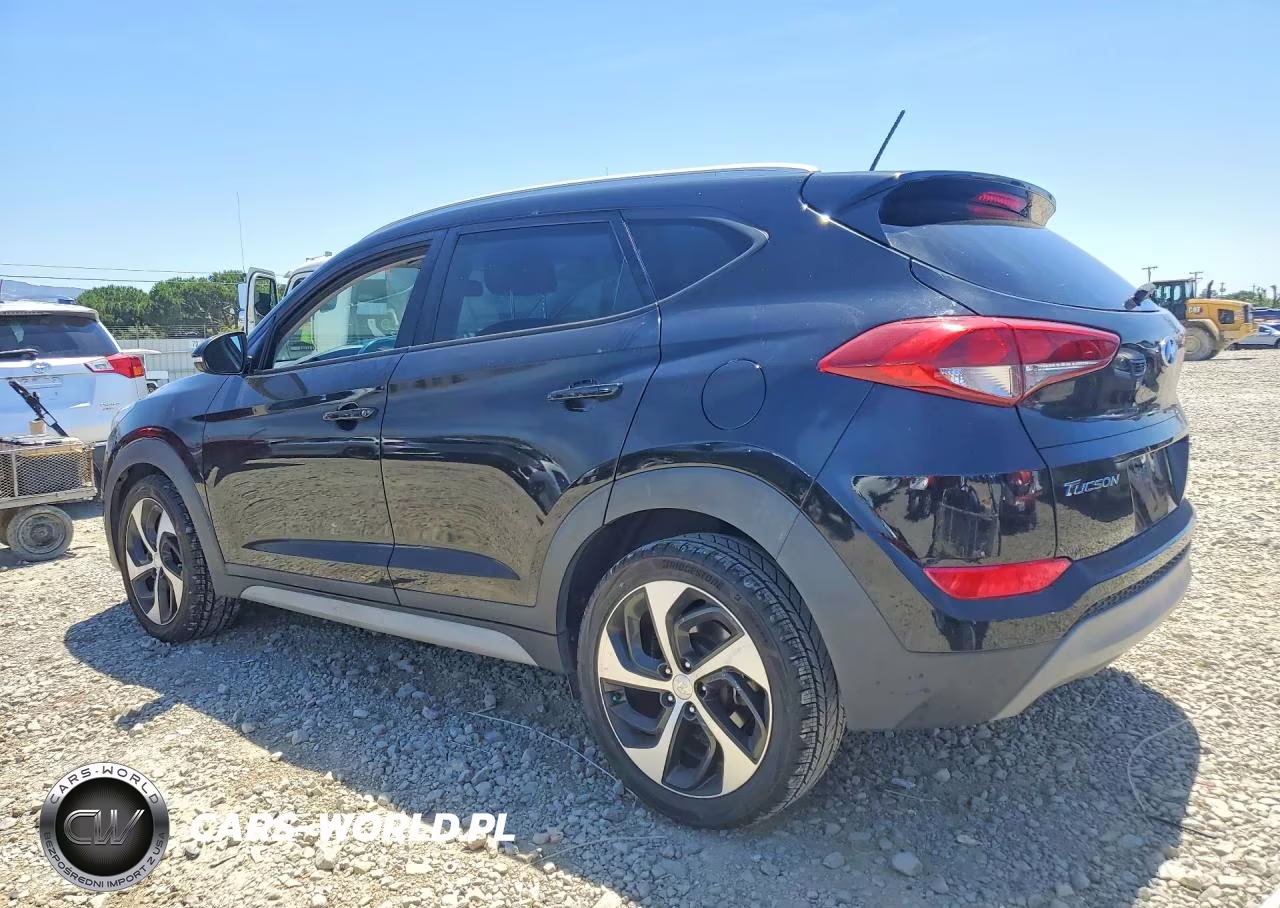 2017 Hyundai Tucson Sport VIN:KM8J33A2XHU483834 - 2