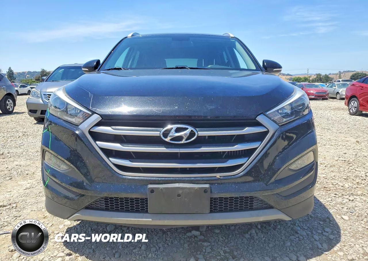 2017 Hyundai Tucson Sport VIN:KM8J33A2XHU483834 - 5