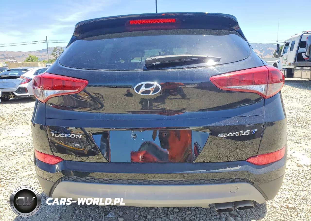 2017 Hyundai Tucson Sport VIN:KM8J33A2XHU483834 - 6