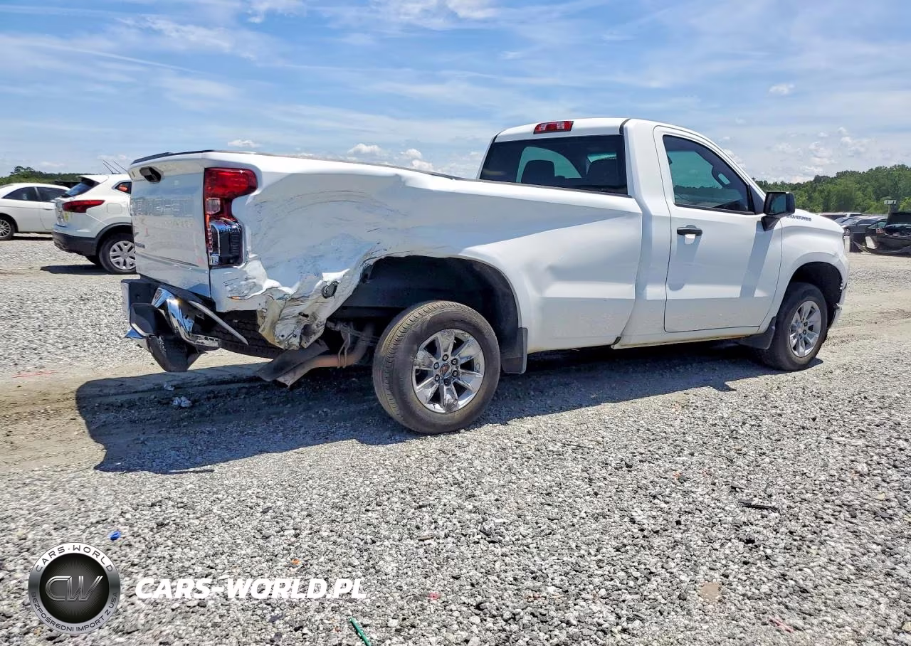 2025 Chevrolet Silverado C1500 VIN:3GCNAAED3SG216492 - 3