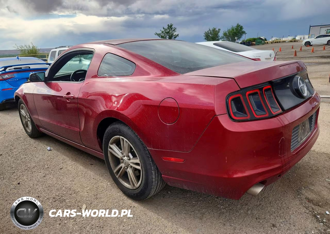 2014 Ford Mustang VIN:1ZVBP8AM1E5288770 - 2