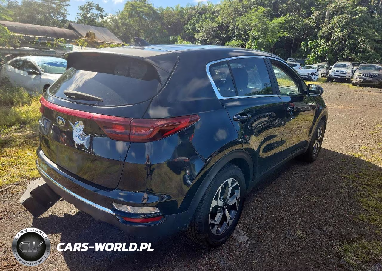 2022 Kia Sportage Lx VIN:KNDPM3AC9N7981540 - 3