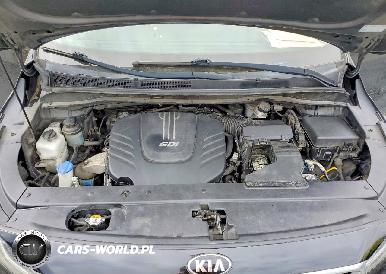 2017 Kia Sedona Lx VIN:KNDMB5C10H6225900 - 12