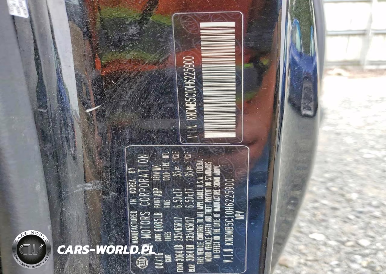 2017 Kia Sedona Lx VIN:KNDMB5C10H6225900 - 13