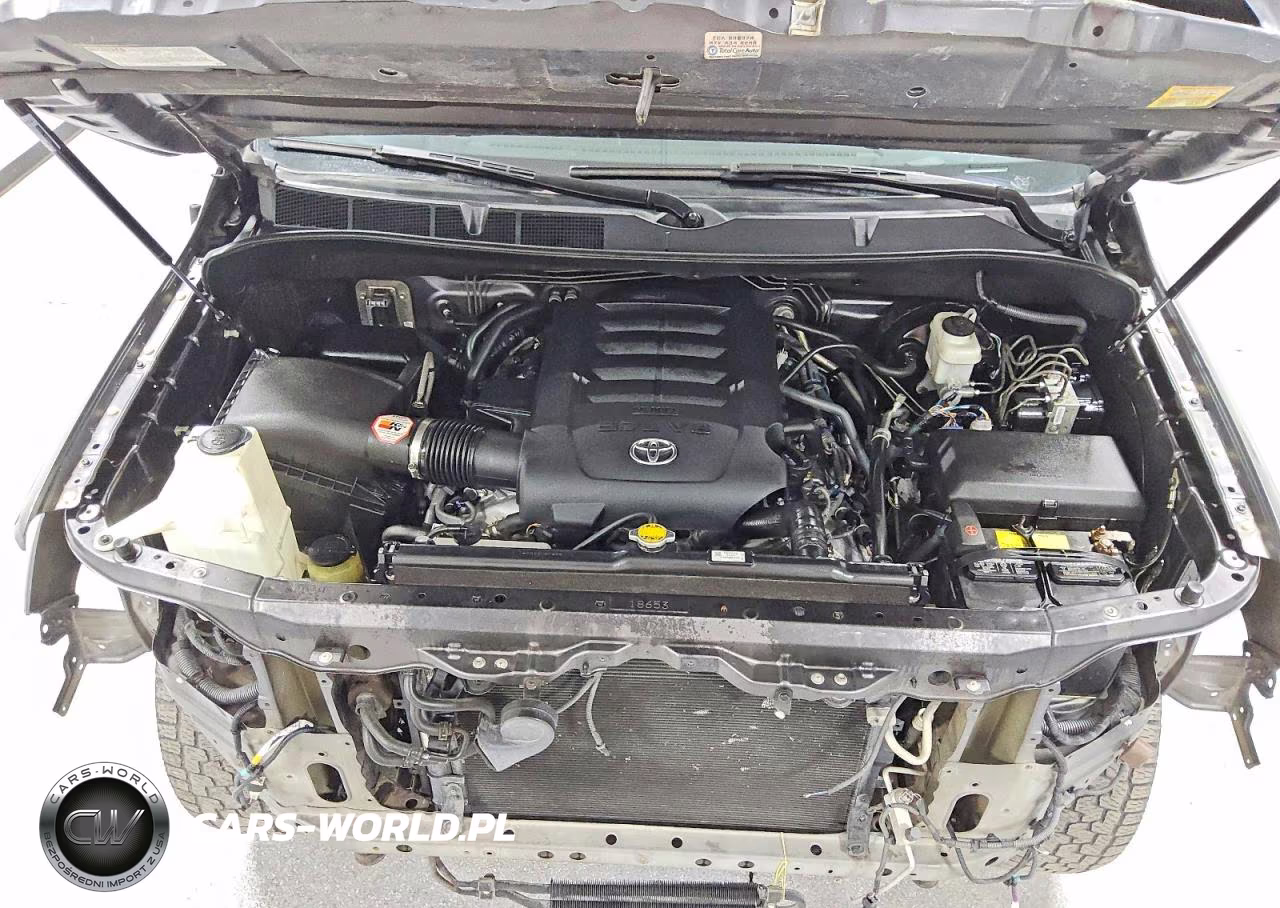 2016 Toyota Tundra 1794 Edition VIN:5TFAW5F12GX544307 - 11