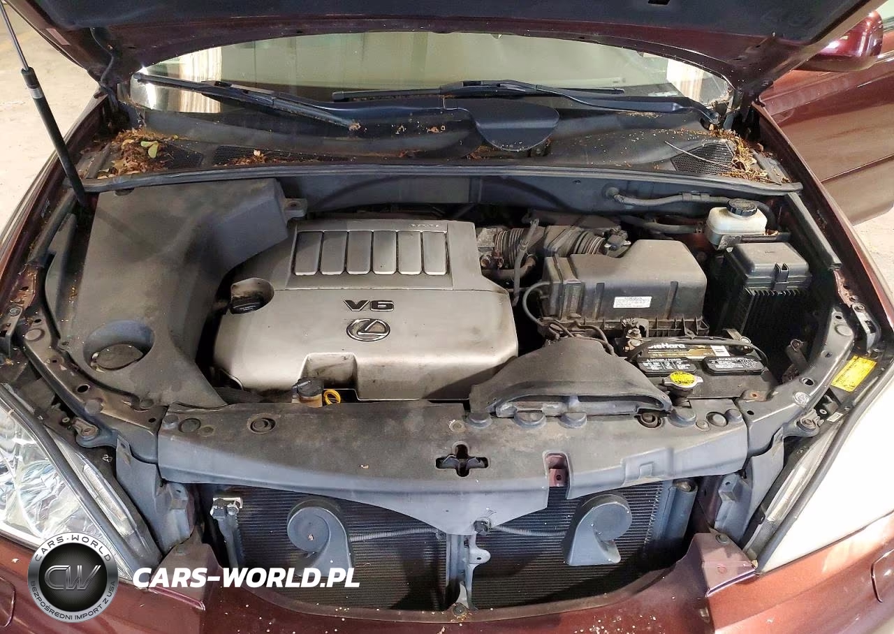 2008 Lexus Rx 350 VIN:JTJHK31U482034889 - 12