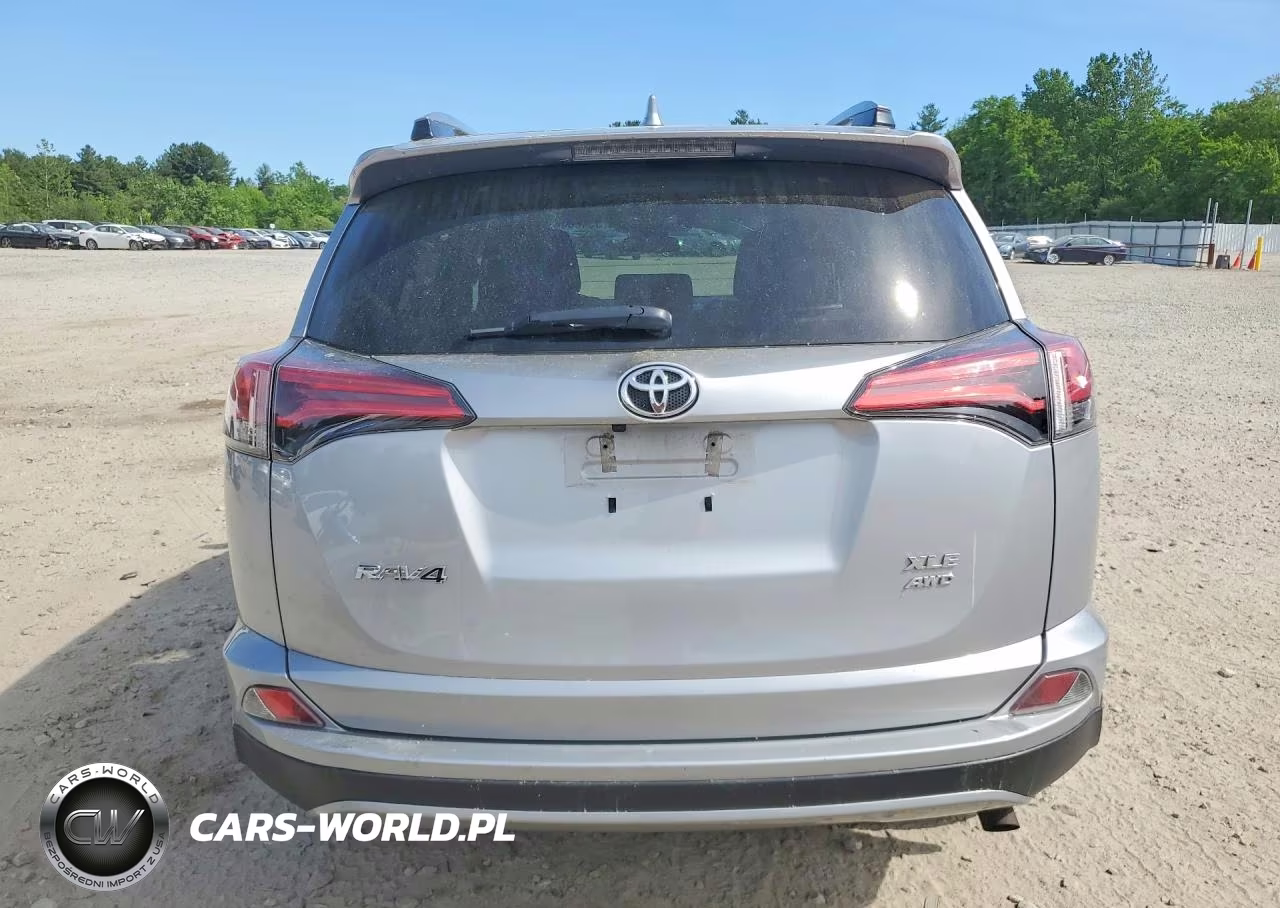 2017 Toyota Rav4 Xle VIN:2T3RFREV0HW694808 - 6