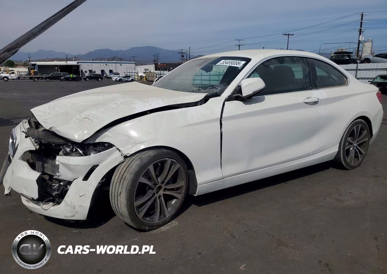 2018 BMW 230I