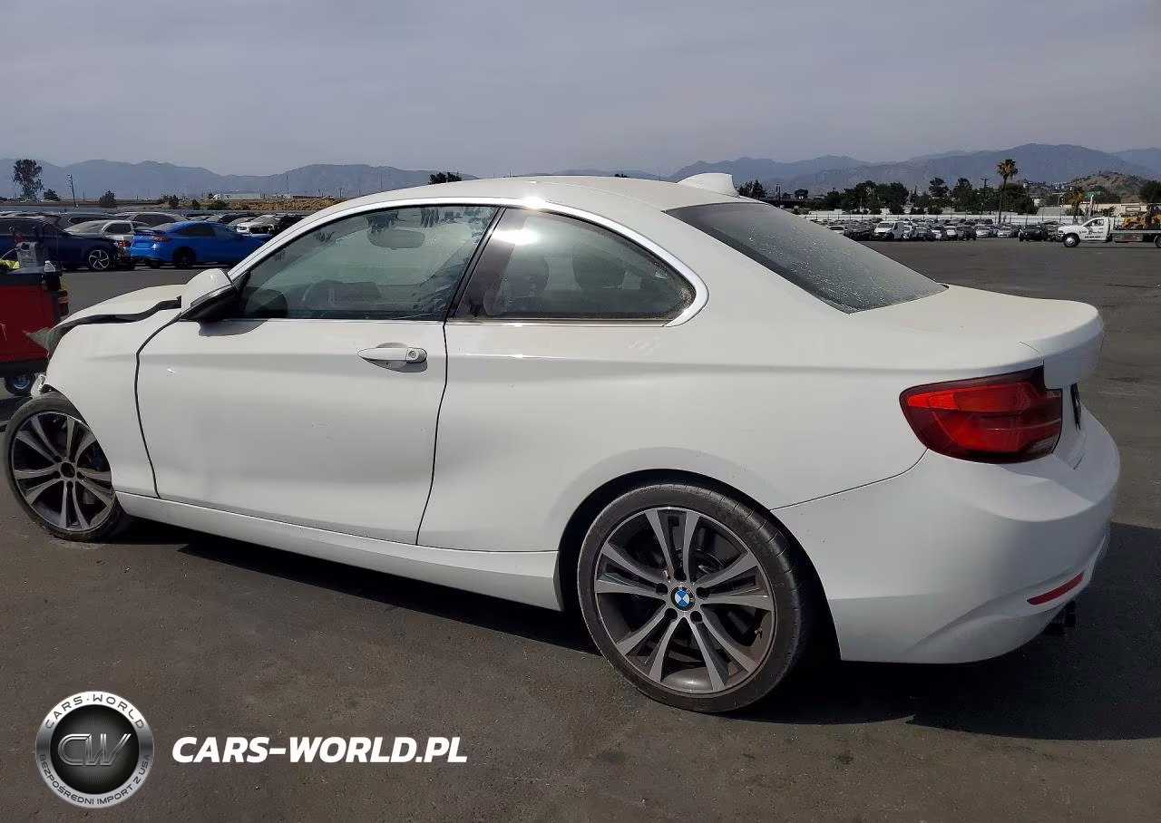 2018 BMW 230I VIN:WBA2J1C57JVB98549 - 2