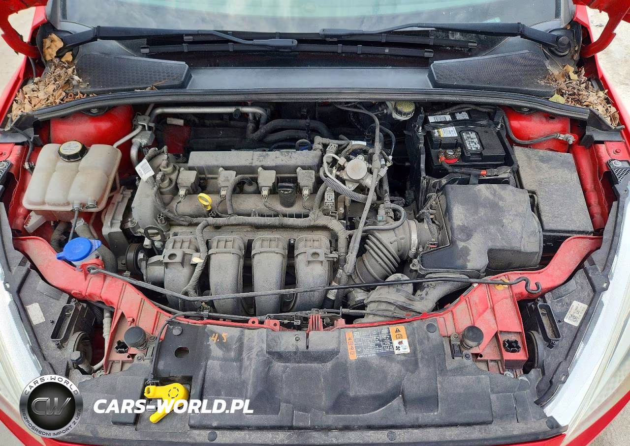 2016 Ford Focus Se VIN:1FADP3F26GL362422 - 11