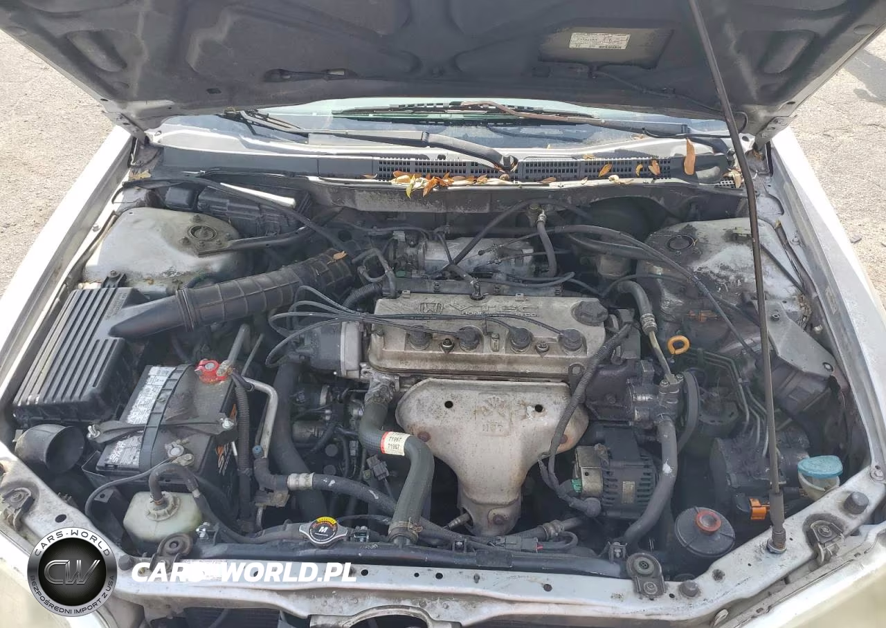 1998 Honda Accord Ex VIN:1HGCG3250WA017338 - 11