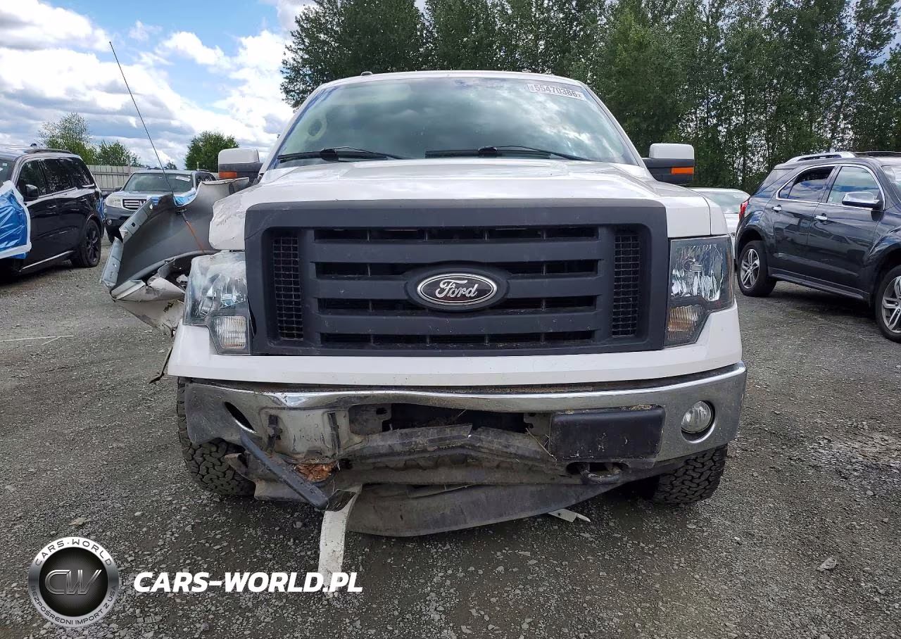 2011 Ford F150 Supercrew VIN:1FTFW1EF5BKD79595 - 5