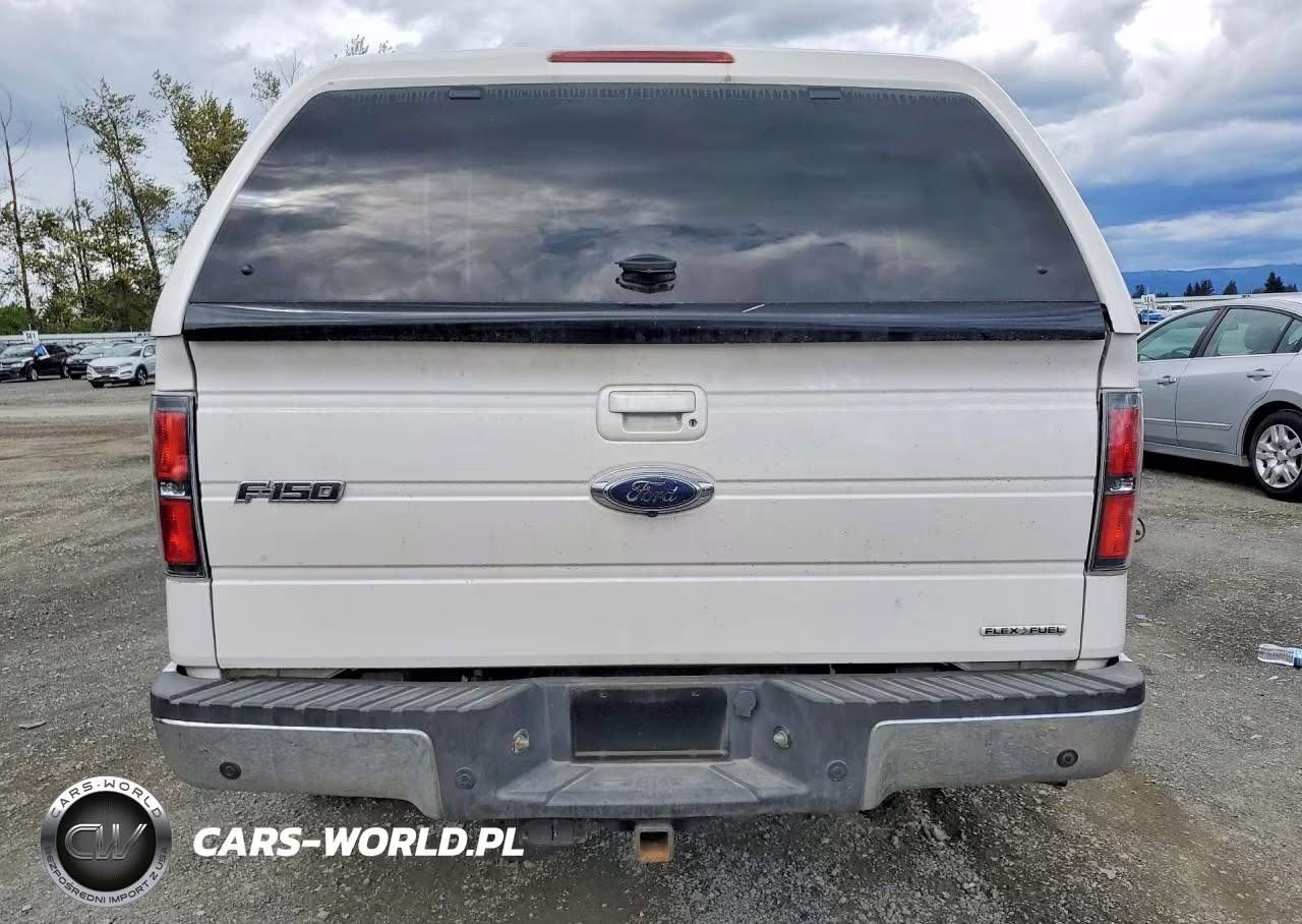 2011 Ford F150 Supercrew VIN:1FTFW1EF5BKD79595 - 6