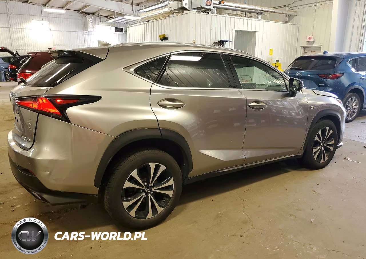 2020 Lexus Nx 300 F Sport VIN:JTJSARDZ8L2218793 - 3