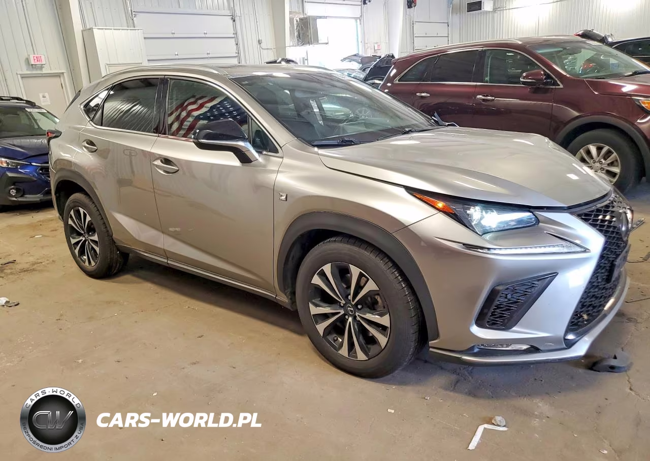 2020 Lexus Nx 300 F Sport VIN:JTJSARDZ8L2218793 - 4