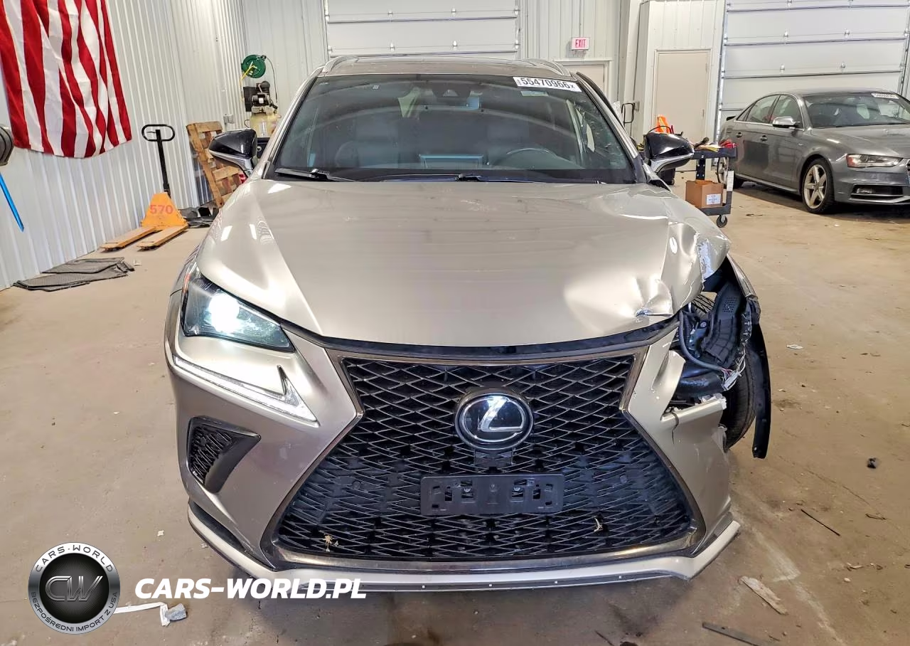 2020 Lexus Nx 300 F Sport VIN:JTJSARDZ8L2218793 - 5