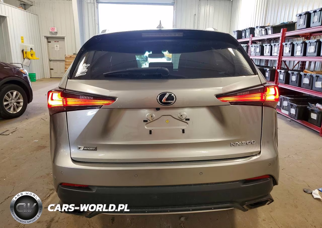 2020 Lexus Nx 300 F Sport VIN:JTJSARDZ8L2218793 - 6