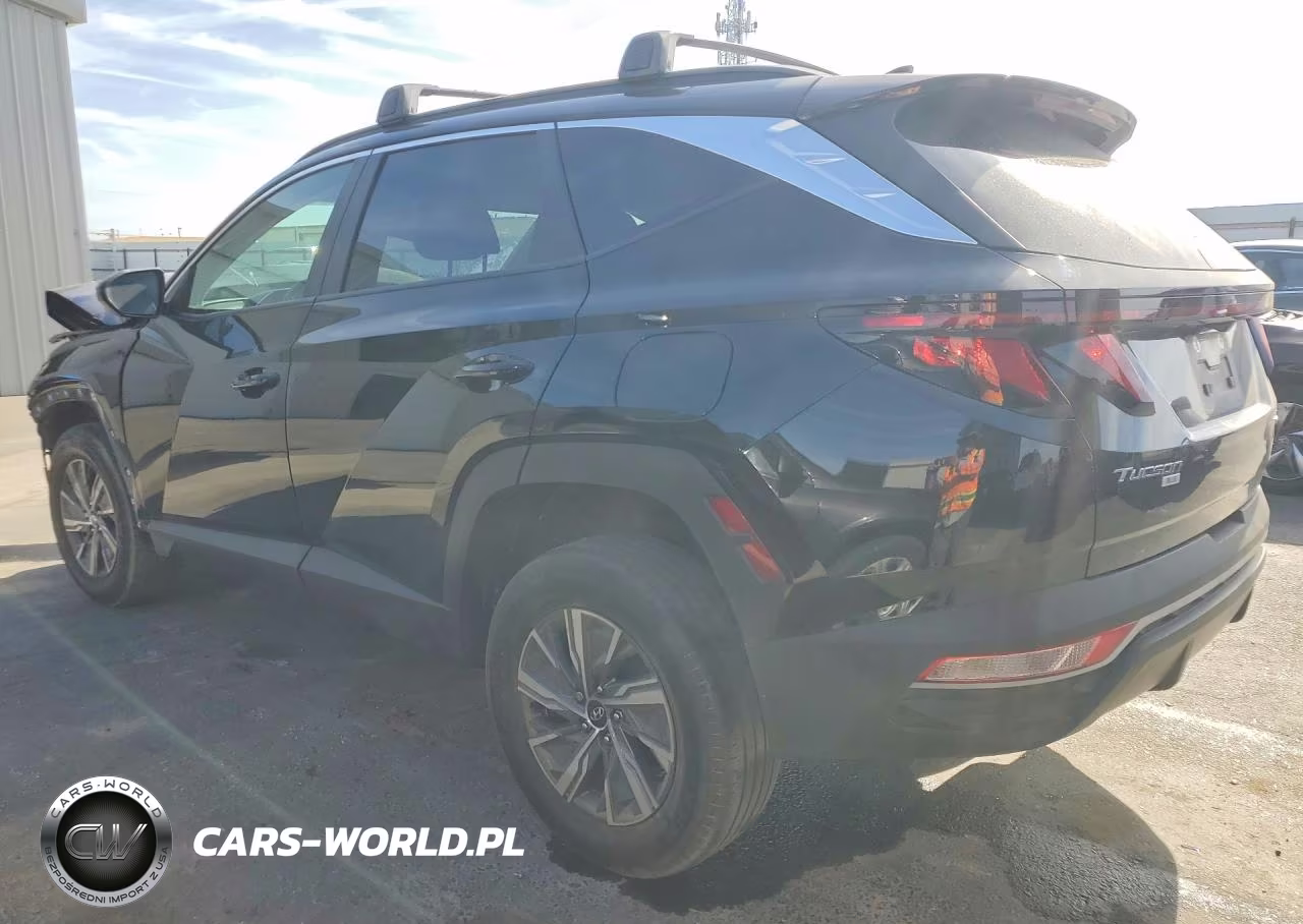 2024 Hyundai Tucson Blue VIN:KM8JBCD13RU204988 - 2