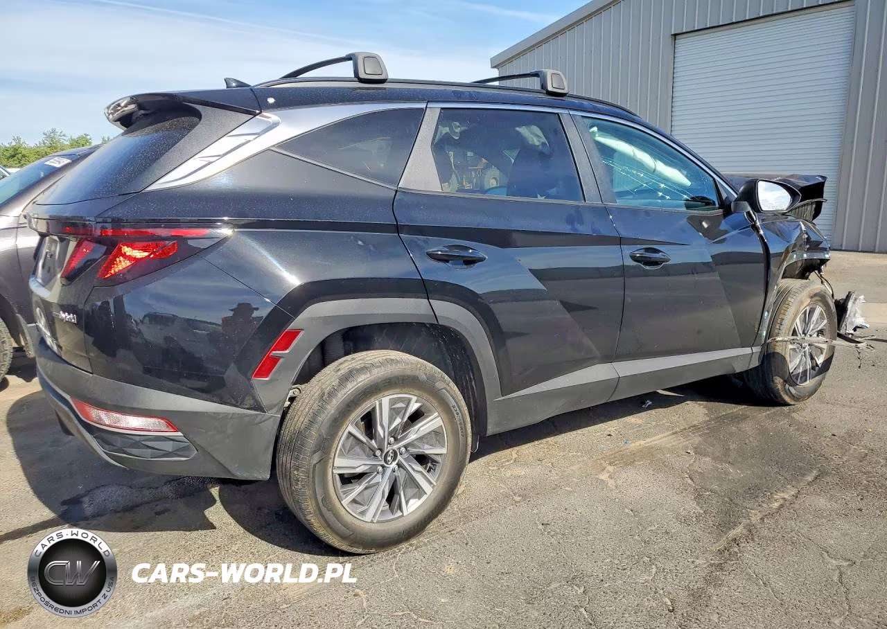 2024 Hyundai Tucson Blue VIN:KM8JBCD13RU204988 - 3