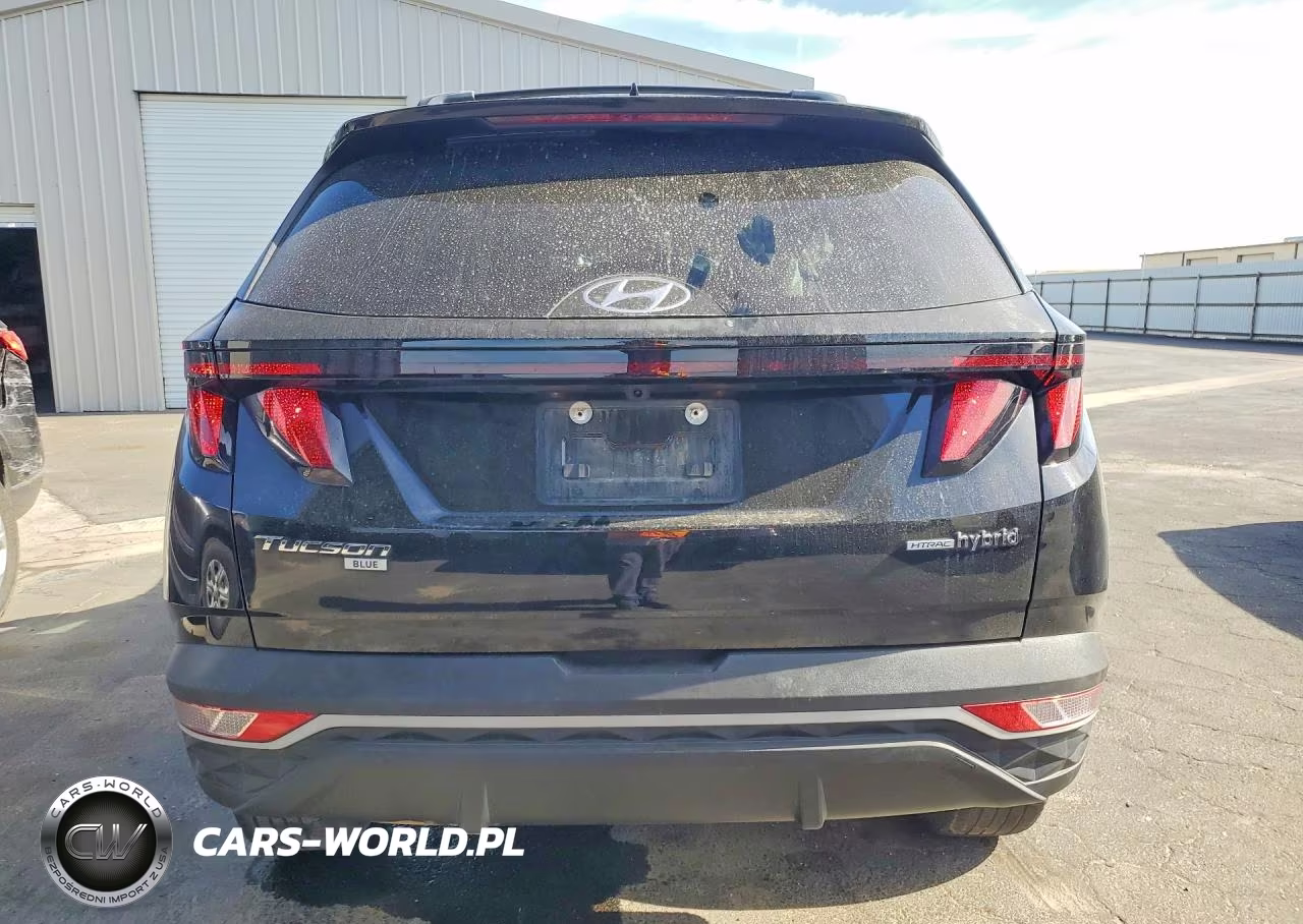 2024 Hyundai Tucson Blue VIN:KM8JBCD13RU204988 - 6