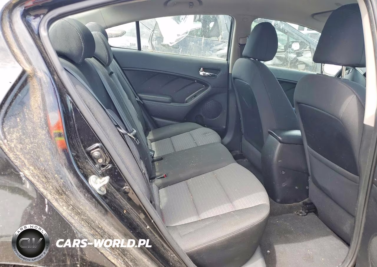 2014 Kia Forte Lx VIN:KNAFX4A65E5077759 - 10