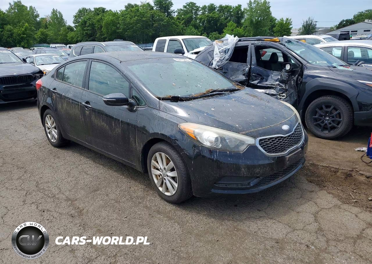 2014 Kia Forte Lx VIN:KNAFX4A65E5077759 - 4