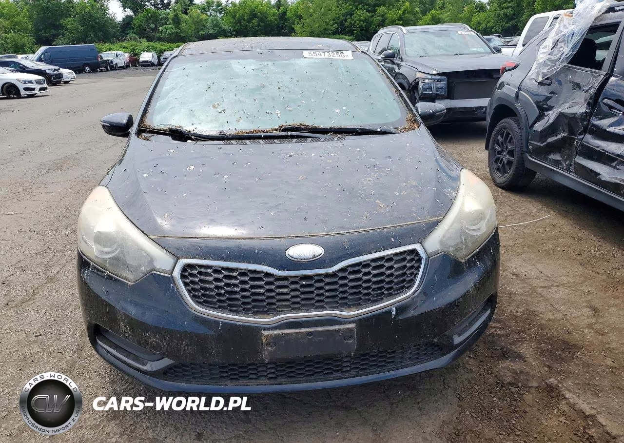 2014 Kia Forte Lx VIN:KNAFX4A65E5077759 - 5