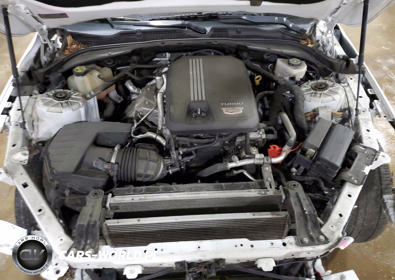 2020 Cadillac Ct4 Premium Luxury VIN:1G6DF5RK4L0154025 - 11