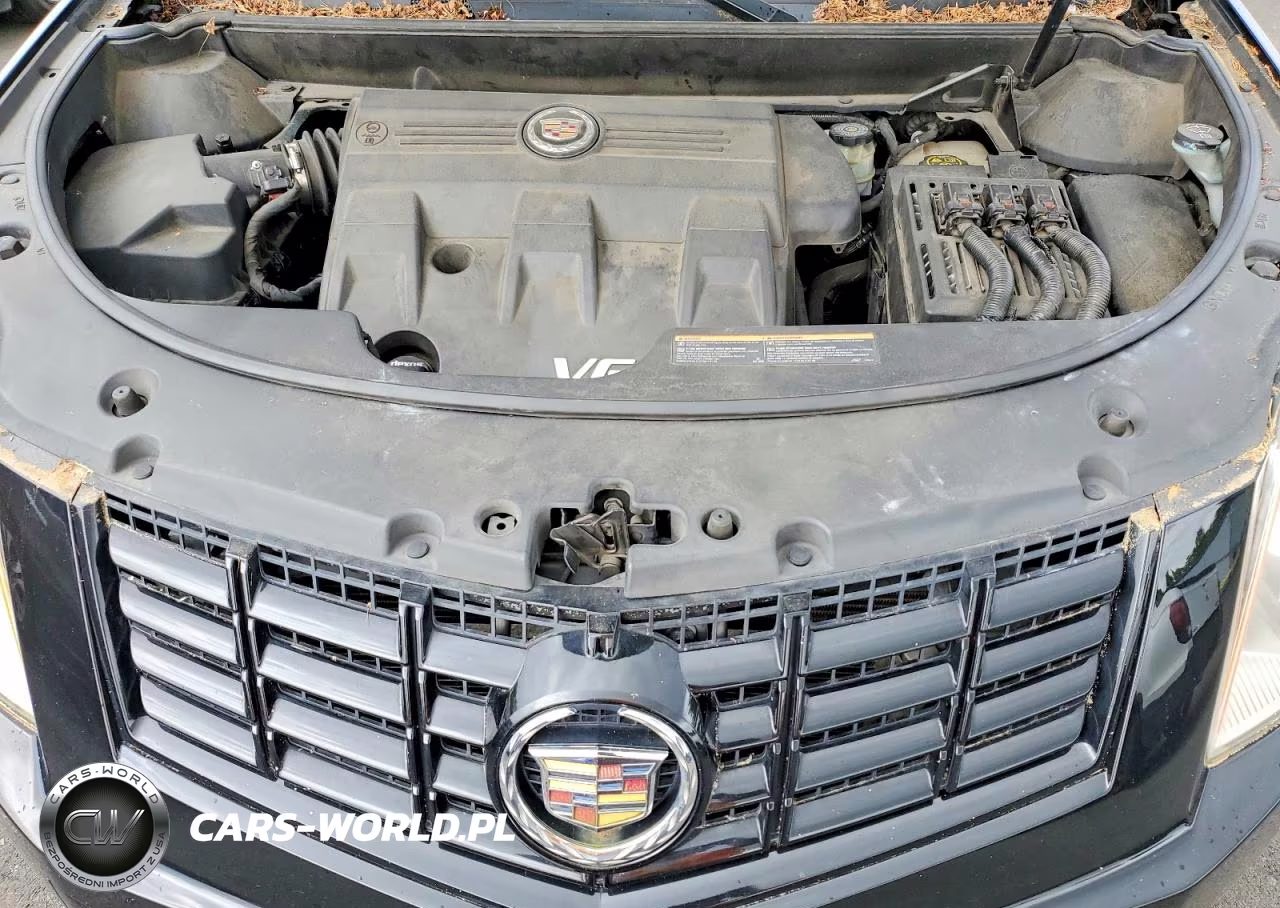 2016 Cadillac Srx Luxury Collection VIN:3GYFNBE31GS517153 - 11
