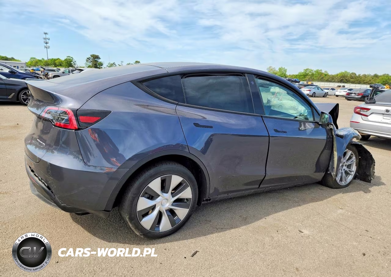 2023 Tesla Model Y VIN:7SAYGDEE7PF699331 - 3