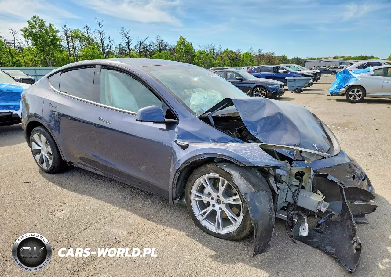 2023 Tesla Model Y VIN:7SAYGDEE7PF699331 - 4