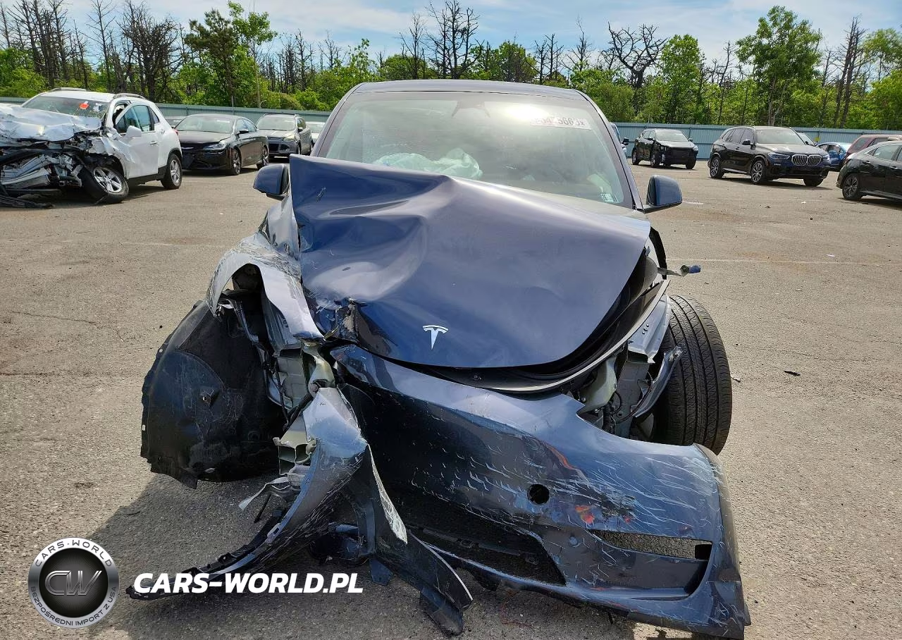 2023 Tesla Model Y VIN:7SAYGDEE7PF699331 - 5