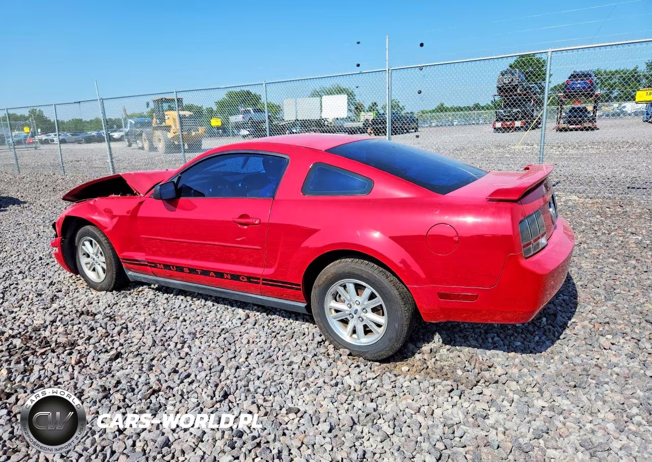 2005 Ford Mustang VIN:1ZVFT80N555116829 - 2