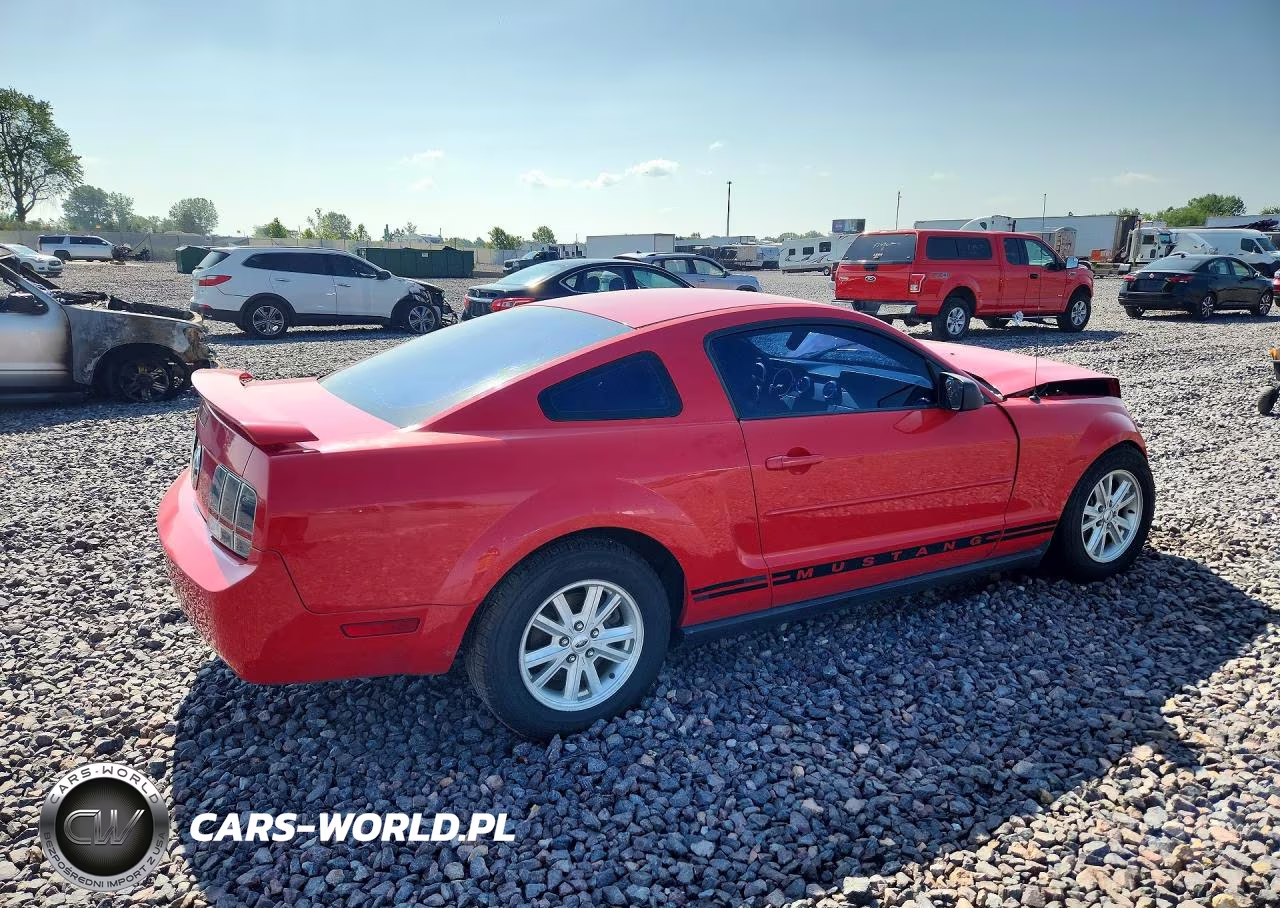 2005 Ford Mustang VIN:1ZVFT80N555116829 - 3