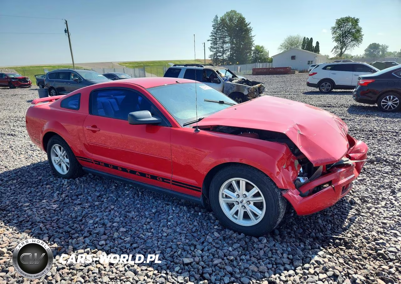 2005 Ford Mustang VIN:1ZVFT80N555116829 - 4
