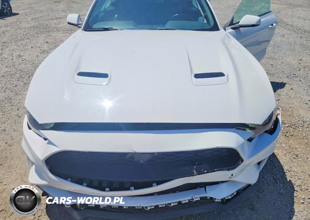 2018 Ford Mustang Premium W-Ec VIN:1FATP8UH3J5166045 - 11