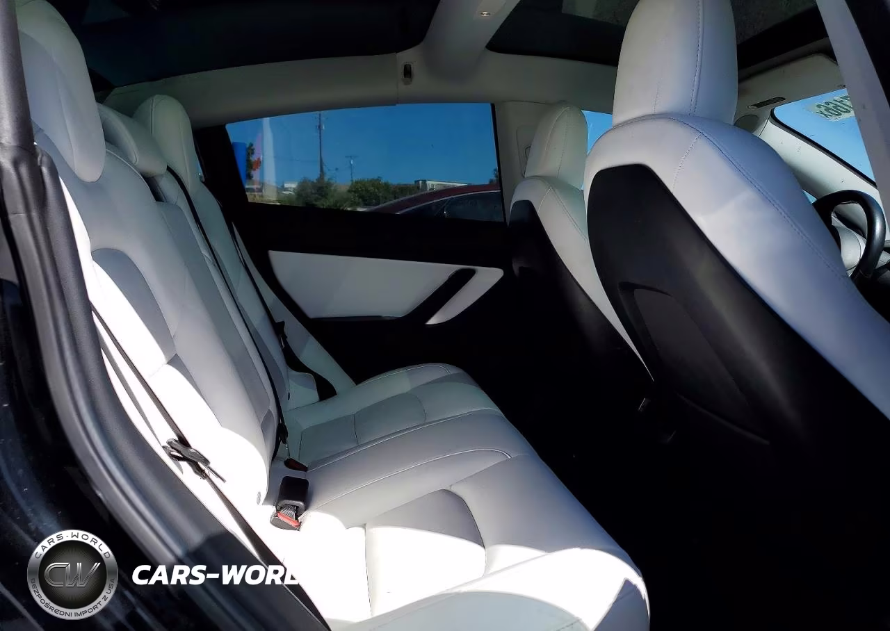 2019 Tesla Model 3 VIN:5YJ3E1EA9KF419281 - 10
