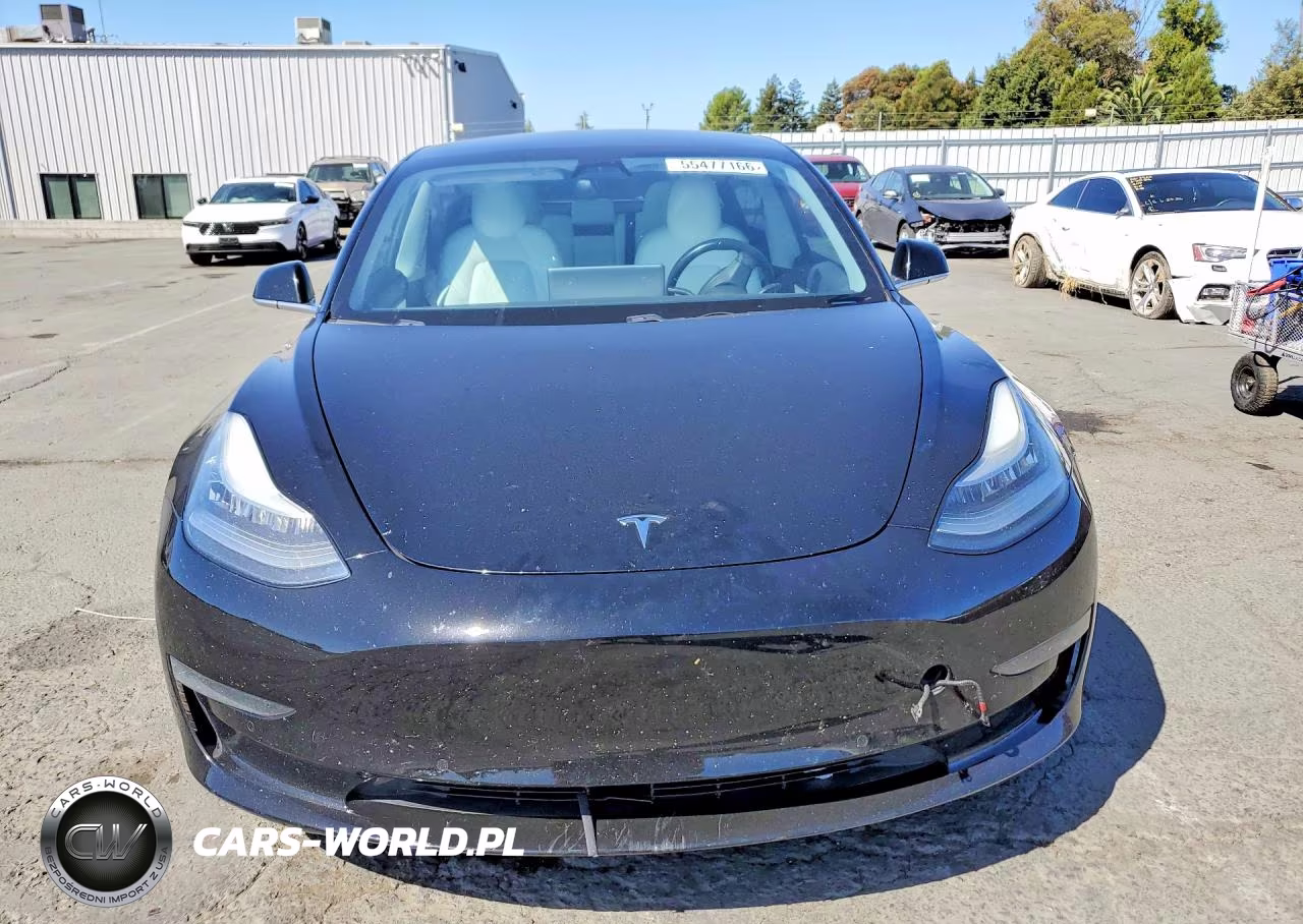 2019 Tesla Model 3 VIN:5YJ3E1EA9KF419281 - 5