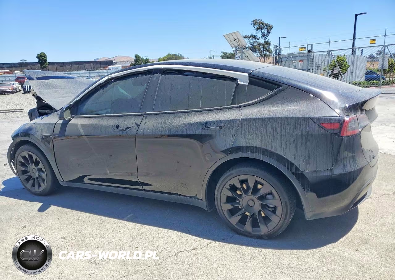 2022 Tesla Model Y VIN:7SAYGDEE4NF346316 - 2
