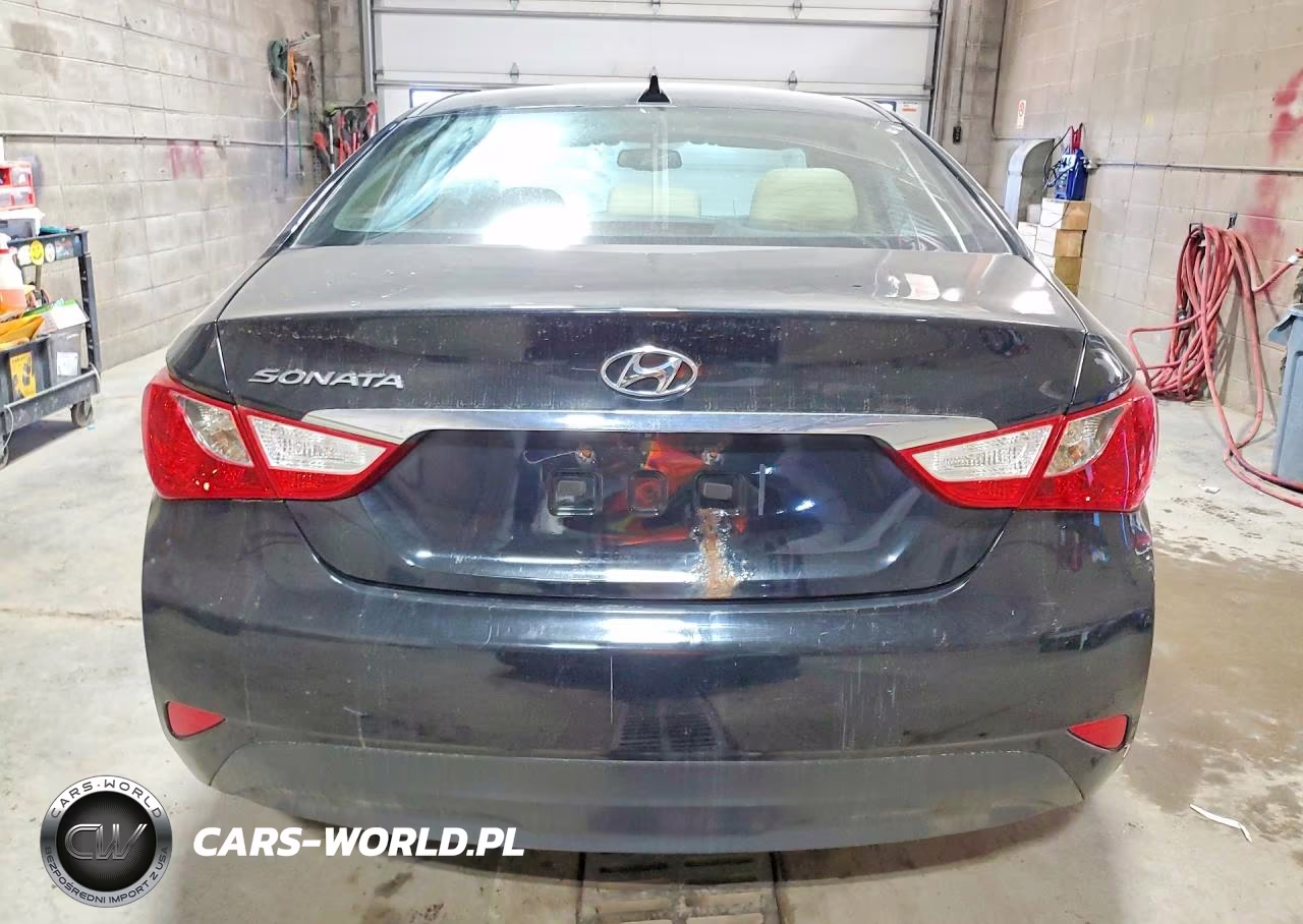 2014 Hyundai Sonata Gls VIN:5NPEB4AC7EH839119 - 6