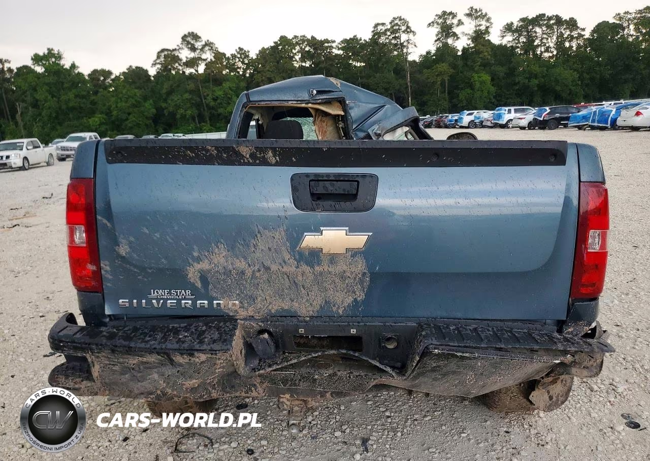 2011 Chevrolet Silverado C1500 VIN:1GCNCPEX1BZ113028 - 10