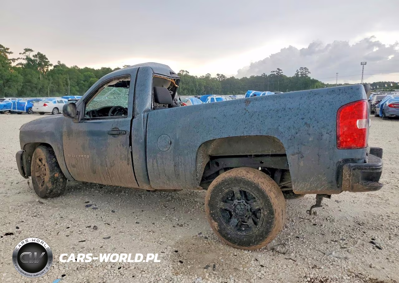 2011 Chevrolet Silverado C1500 VIN:1GCNCPEX1BZ113028 - 2